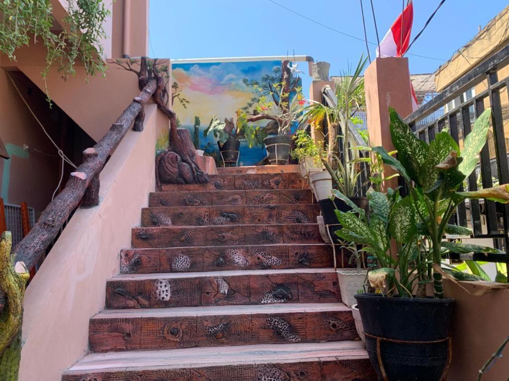 Salsabila Homestay Gili Trawangan Esterno foto